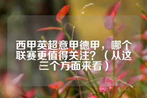 新披挂上阵